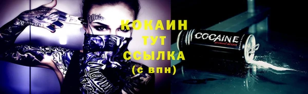 мдпв Корсаков