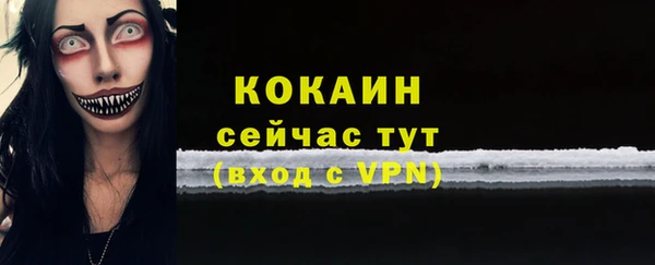 мдпв Корсаков