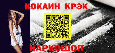 гашик Кингисепп
