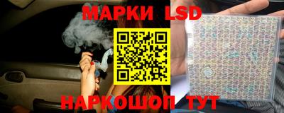 гашик Кингисепп