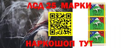 гашик Кингисепп