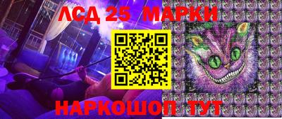 гашик Кингисепп