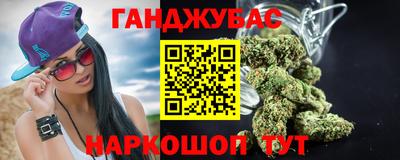 гашик Кингисепп
