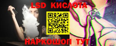гашик Кингисепп