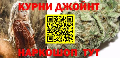 гашик Кингисепп