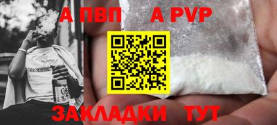 гашик Кингисепп