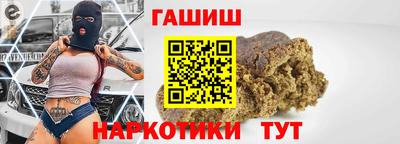 гашик Кингисепп