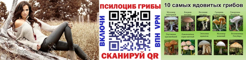 Псилоцибиновые грибы Psilocybine cubensis что такое наркотик Костомукша