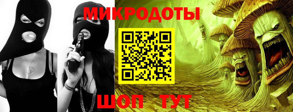 Костомукша  Галлюциногенные грибы Psilocybine cubensis  Вход с VPN 