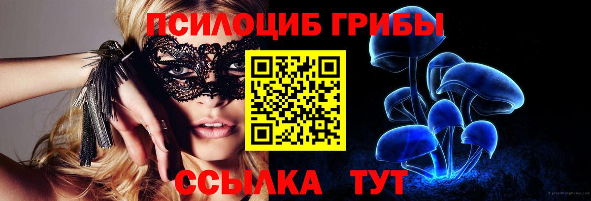 Бошки Шишки Костомукша