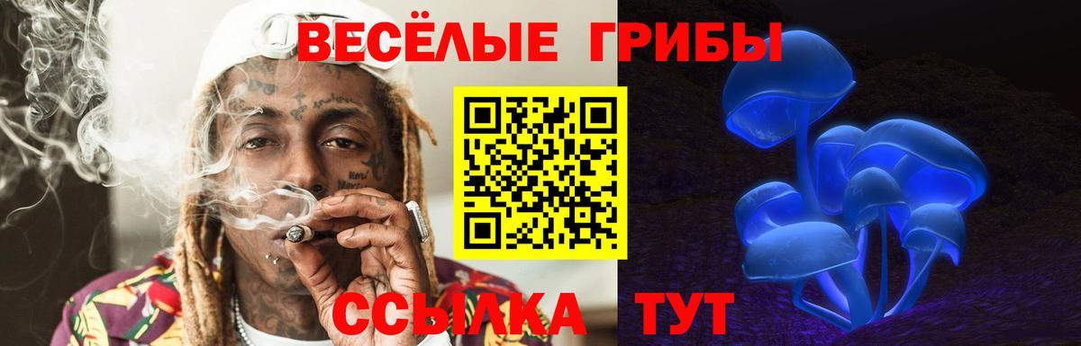 Галлюциногенные грибы GOLDEN TEACHER Костомукша